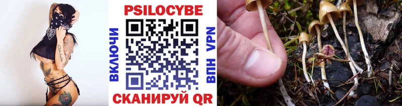 Галлюциногенные грибы прущие грибы  Купить  Курильск 